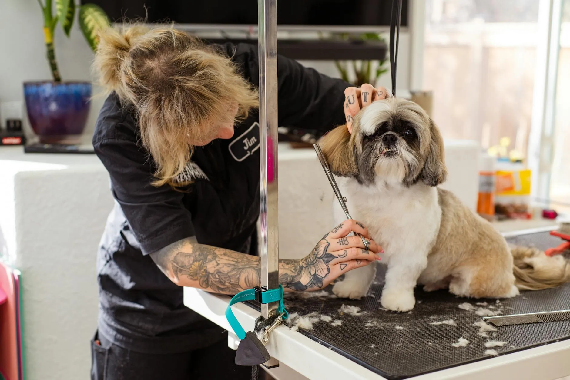 Groomer's hands brushing a dog at the grooming table